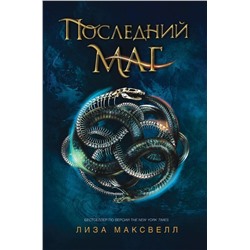 Последний маг. Последний маг