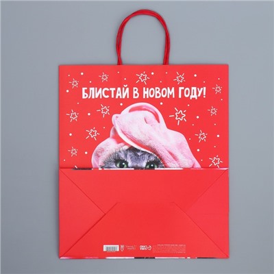 Пакет подарочный крафтовый «Блистай», 28 × 32 × 15 см