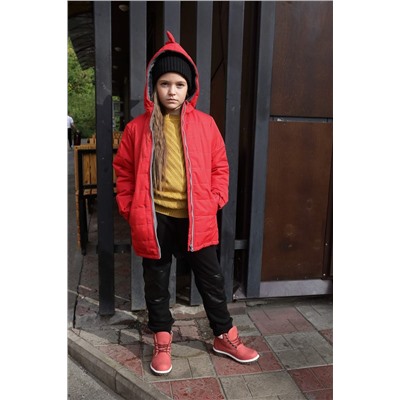 Куртка Дино подростковая демисезонная красная