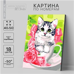 Картина по номерам на холсте с подрамником «Котёнок в чашке», 40 х 50 см