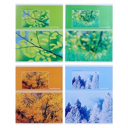 Тетрадь 48 листов в клетку Seasons, обложка хром-эрзац, серые листы, МИКС