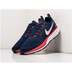 Кроссовки Nike Air Zoom Pegasus 31