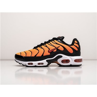 Кроссовки Nike Air Max Plus TN