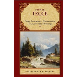 Петер Каменцинд. Под колесом. Последнее лето Клингзора. Душа ребенка. Клейн и Вагнер