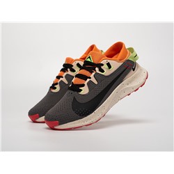 Кроссовки Nike Pegasus Trail 2