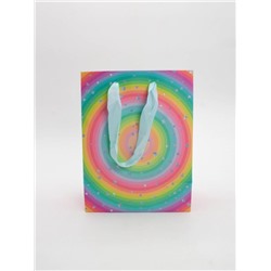 Пакет подарочный «Rainbow Gift», circle (18*23*10)