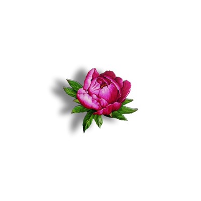 Пион - Брошь - 189 цветок