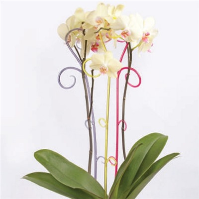 Держатель для орхидеи, h=60 см, цвет микс