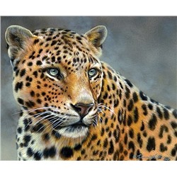 Картина по номерам 40х50 - Грациозный леопард