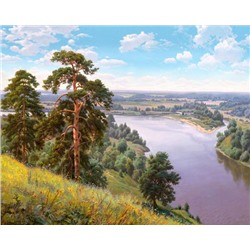 Картина по номерам 40х50 - Широкая река (худ. Прищепа И.)