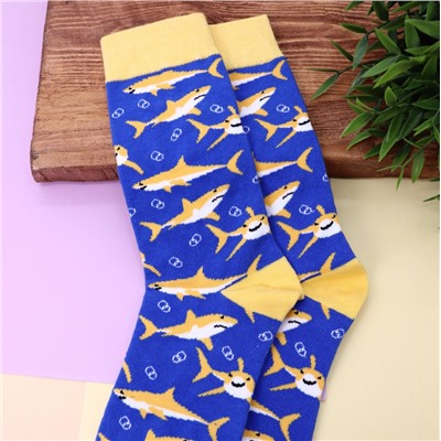 Носки «Shark», blue, мужские/женские евро размер 35-45
