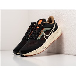 Кроссовки Nike Air Zoom Pegasus 39