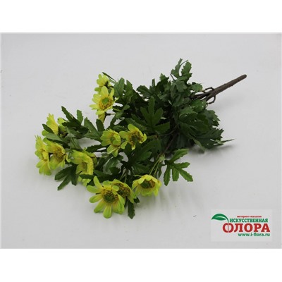 Букет хризантема 8 стеблей (CH10600093)