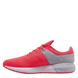 Nike, Zoom Structure 22 Trainers Mens