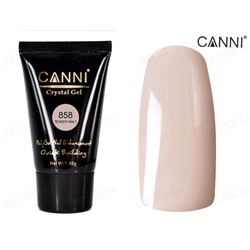 Полигель Canni Crystal №858, 45г