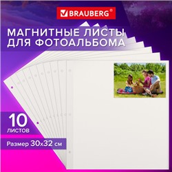 Листы для фотоальбома магнитные 30х32 см, КОМПЛЕКТ 10 шт., BRAUBERG, 391313