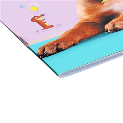 Дневник школьный для 1-11 классов "Ушастое счастье", обложка мелованный картон, 40 листов
