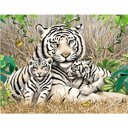 Картина по номерам 40х50 - Семья белых тигров