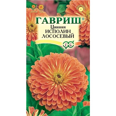 Цинния Исполин Лососевый