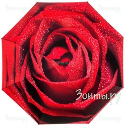 Зонтик "Красная роза" RainLab 058