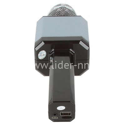Колонка-микрофон (WS-1828) Bluetooth/USB/micro SD/LED/караоке/меняет голос (черная)