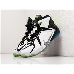 Кроссовки Nike Lebron 12