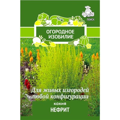 Кохия Нефрит