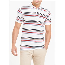 Sahara Stripe Polo Shirt