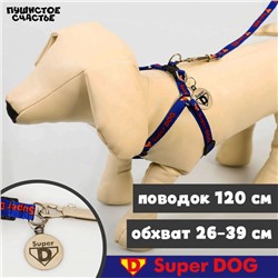 Комплект Super DOG, шлейка 26-39 см, поводок 120х1 см, медальон