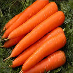 0555 Морковь Каротин супер 2гр