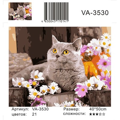 Картина по номерам 40х50 - Бежевый котик