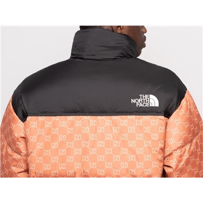 Куртка The North Face x Gucci