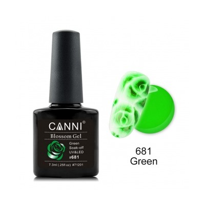 Canni Blossom Gel, для акварельной росписи № 681