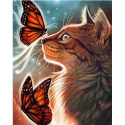 Картина по номерам 40х50 - Бабочки и кот