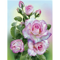 Картина по номерам 40х50 - Розовые розы