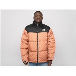 Куртка The North Face x Gucci