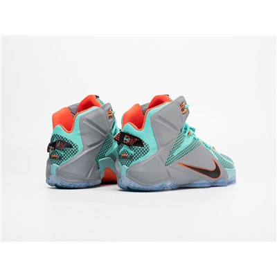 Кроссовки Nike Lebron 12