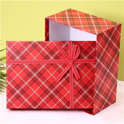 Подарочная коробка «Red cell» 22.5*17*10