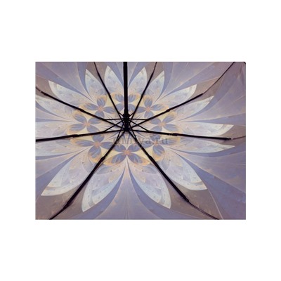 Зонт женский DINIYA арт.159 полуавт 23"(58см)Х8К листья/цветы