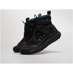 Кроссовки Nike ACG Air Terra Antarktik