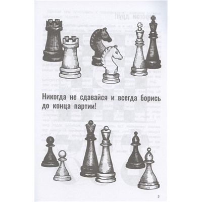 Екатерина Прудникова: Дневник юного шахматиста с трекером тренировок и мотивационными наклейками