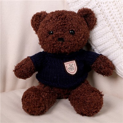 Мягкая игрушка «Медведь» в кофте, 28 см, цвет МИКС