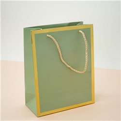 Пакет подарочный (S) «Classic line», green (24.5*19.5*9.5)