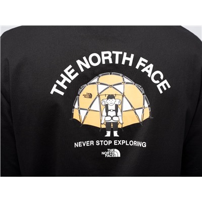 Футболка The North Face