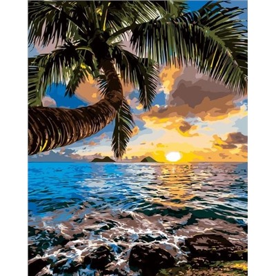 Картина по номерам 40х50 - Тропический закат