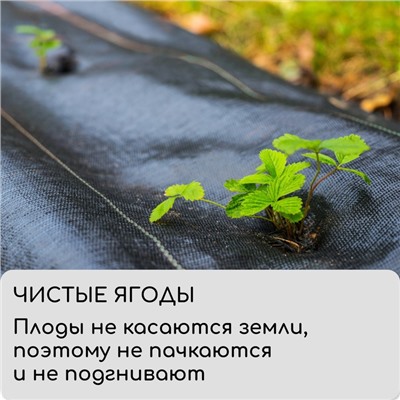 Агроткань застилочная, с разметкой, 10 × 1.6 м, плотность 100 г/м², полипропилен, Greengo, Эконом 50%