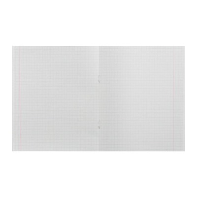 Комплект тетрадей из 5 штук (4 разные + 1 повторяющаяся), 48 листов в клетку Calligrata "Мрамор", обложка мелованная бумага, блок №2, белизна 75% (серые листы)
