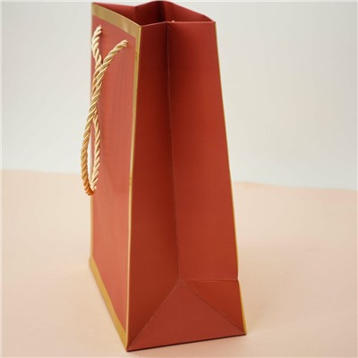 Пакет подарочный (S) «Classic line», red (24.5*19.5*9.5)