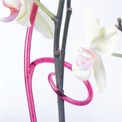Держатель для орхидеи, h=60 см, цвет микс