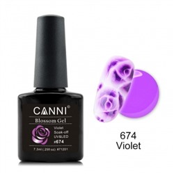 Canni Blossom Gel, для акварельной росписи № 674